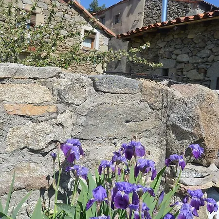 Kır Evi Almanzor